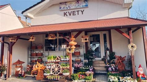 Vidiecke ráno pri kurníku